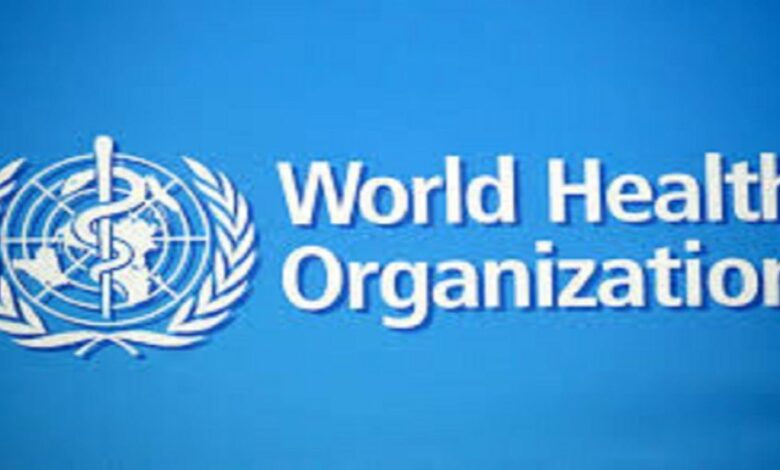 May 2024: WHO Global Internship Programme