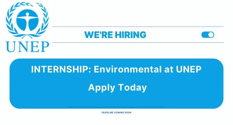 APPLY NOW Internship JUNE 24 At UNEP
