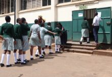 KNEC Releases List of Required Items for KPSEA and KJSEA 2025 Candidates