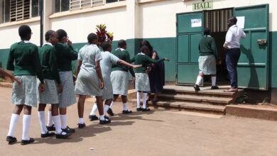 KNEC Releases List of Required Items for KPSEA and KJSEA 2025 Candidates