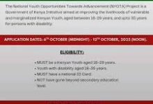 NYOTA Grant Application Reopens: Youths Urged to Apply for Ksh 50,000 Business Support Grant