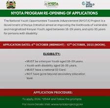 NYOTA Grant Application Reopens: Youths Urged to Apply for Ksh 50,000 Business Support Grant