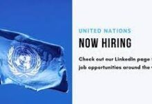 Internship Program Now Open at United Nations Office at Nairobi (UNON) – Apply